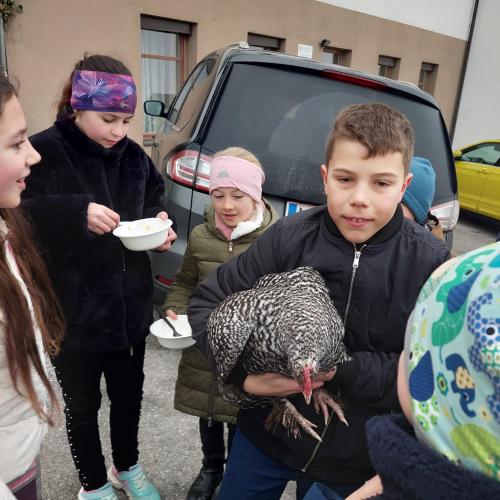 Tierischer Besuch