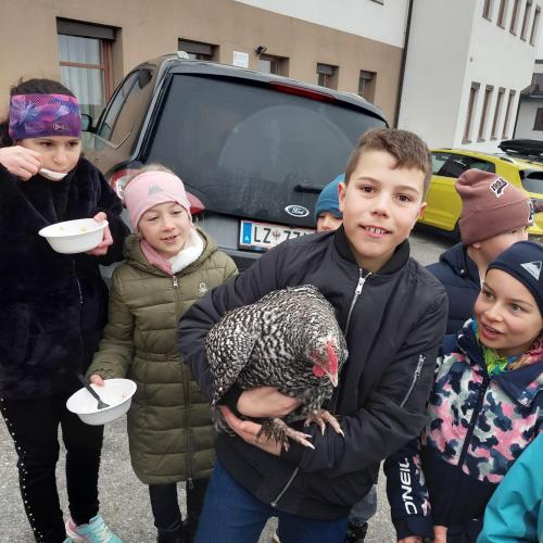 Tierischer Besuch