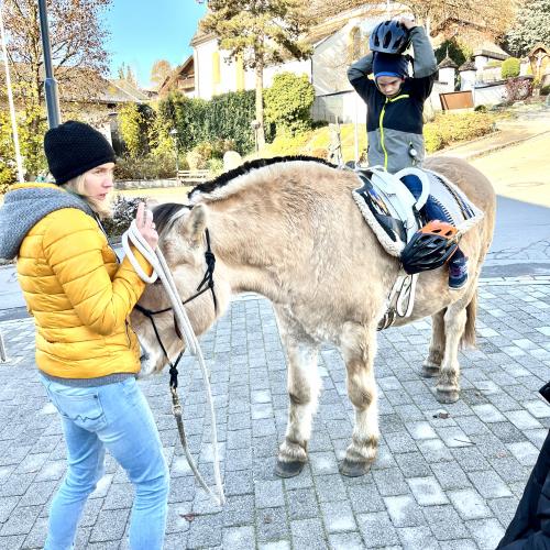 Pferdebesuch