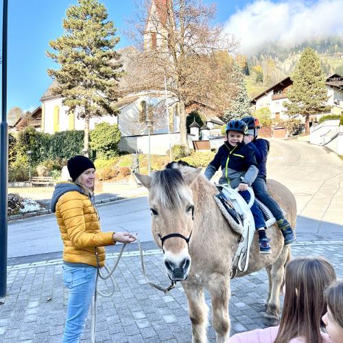 Pferdebesuch
