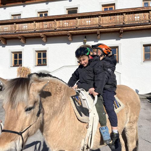 Pferdebesuch