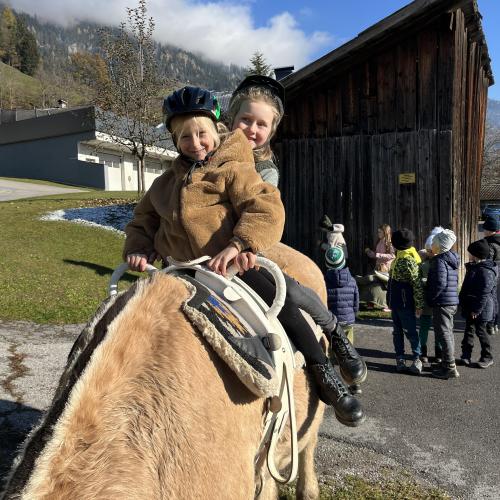 Pferdebesuch