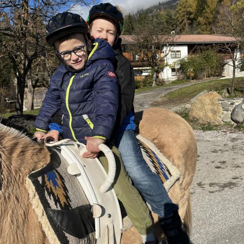 Pferdebesuch