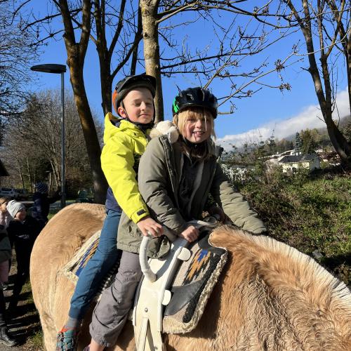 Pferdebesuch