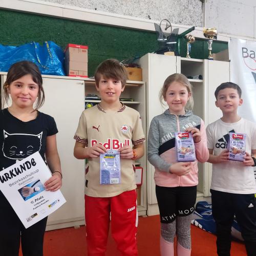 Badminton