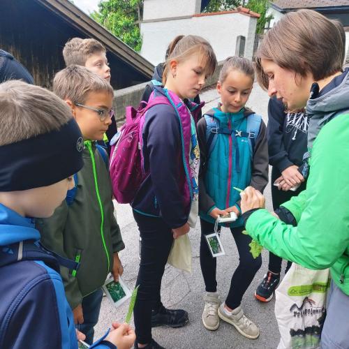 Klimaschule
