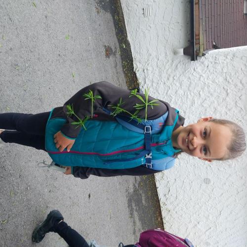 Klimaschule
