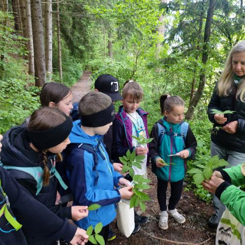 Klimaschule
