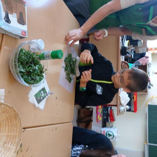 Klimaschule