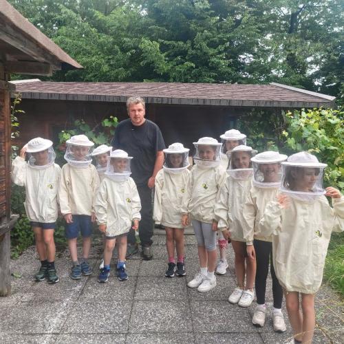 Bienen