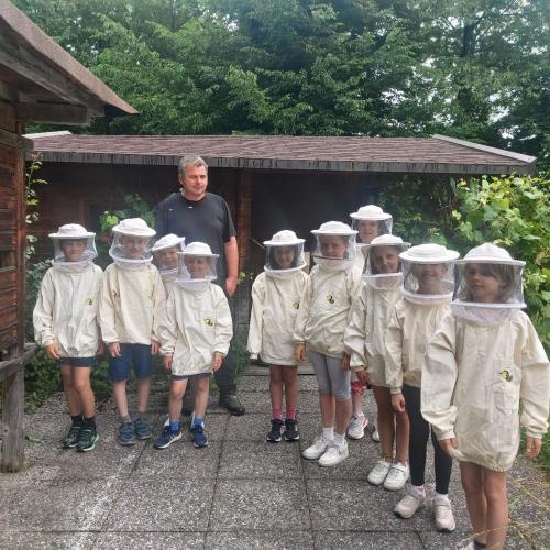 Bienen