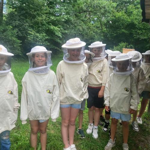 Bienen