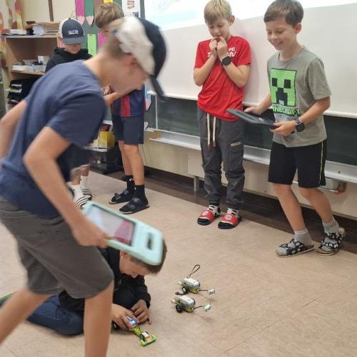 Legowedo