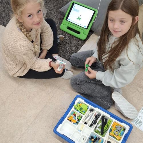 Legowedo