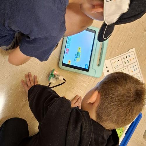 Legowedo
