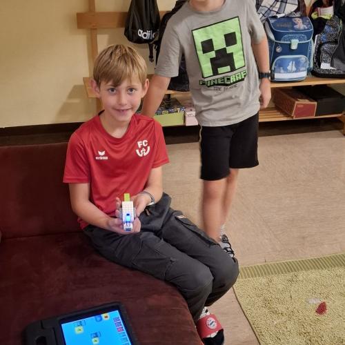 Legowedo