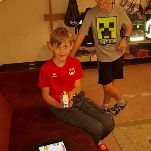 Legowedo
