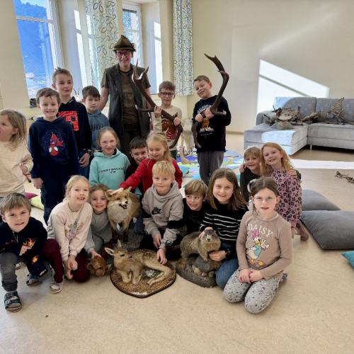 Alles über den Wald