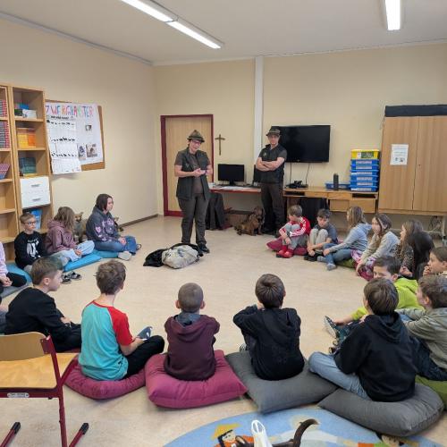 Alles über den Wald