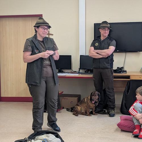 Alles über den Wald