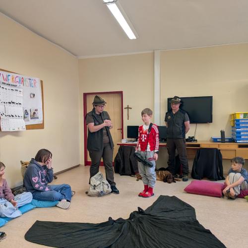 Alles über den Wald