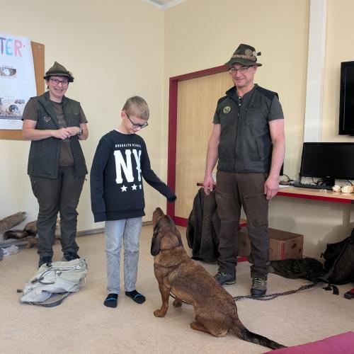 Alles über den Wald