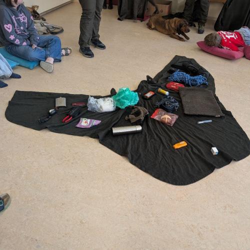 Alles über den Wald