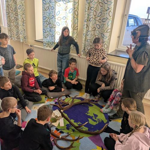 Alles über den Wald