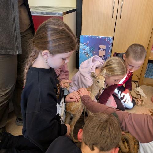 Alles über den Wald