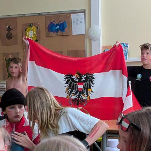 Public viewing