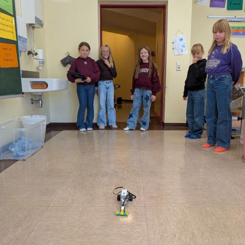 Legowedo