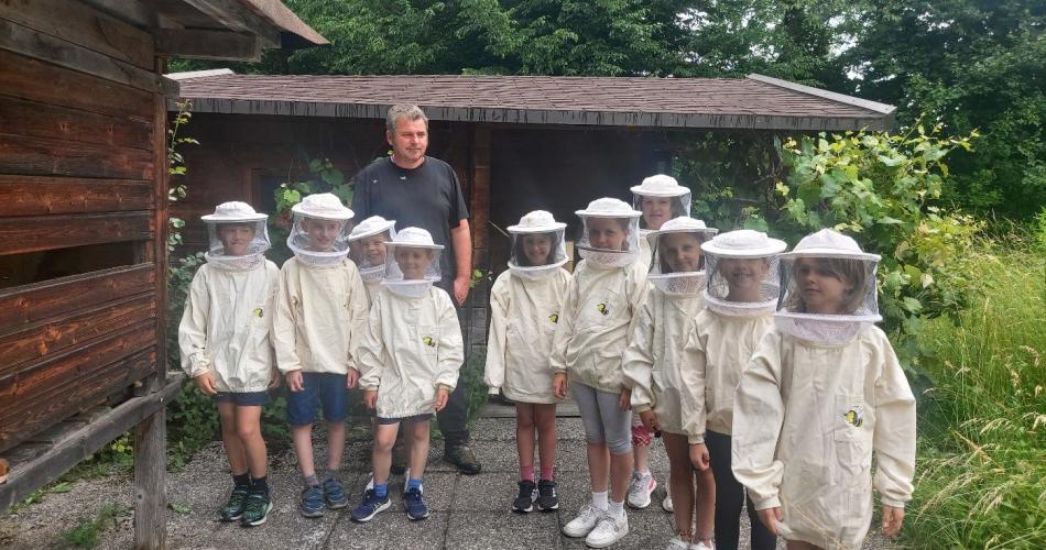 Bienen