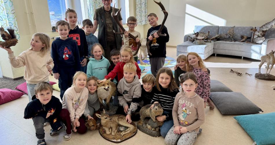 Alles über den Wald